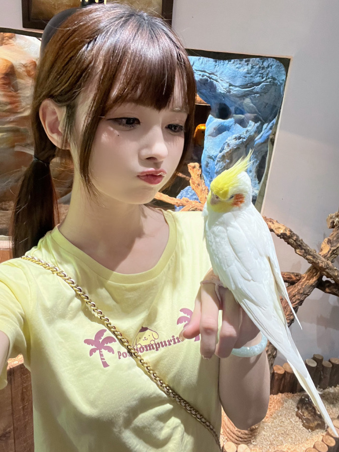 成人91视频