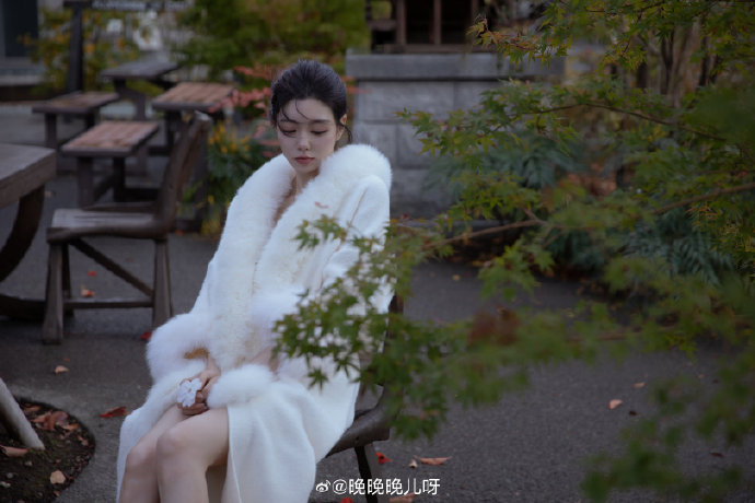 三叶草官方网站