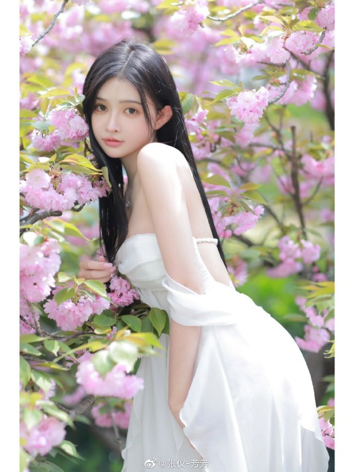 三天见效！公域搜索截流黑科技方案，精准诱导移动端下拉框与联想词