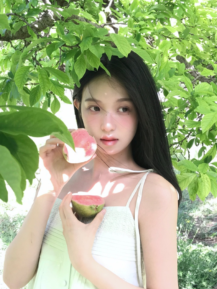 秘密入口