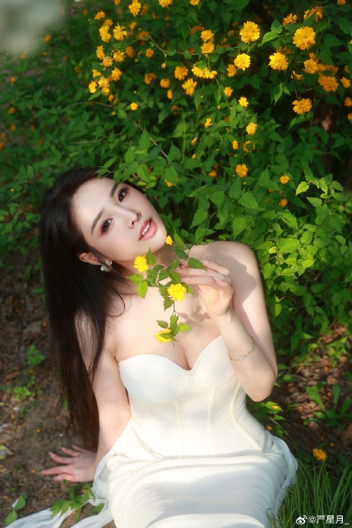 探花在线