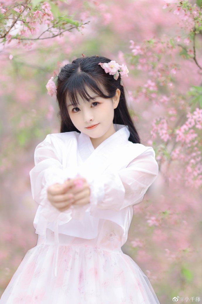 少妇视频