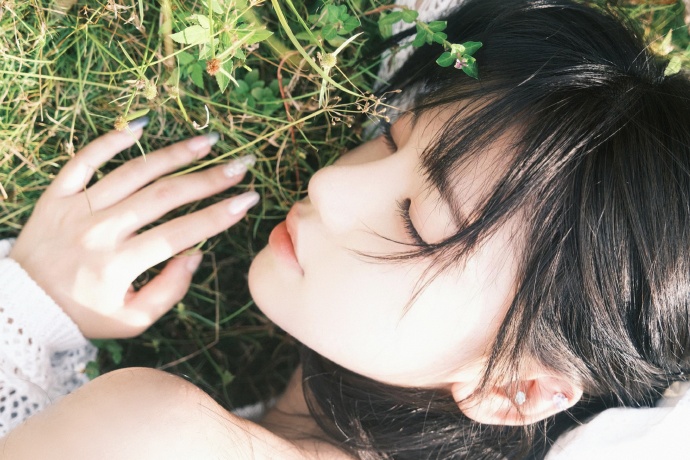魏晨的头像