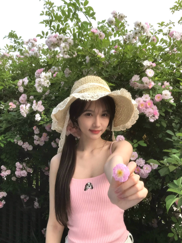 白帽SEO与泛站群：捷径之路，终归失败