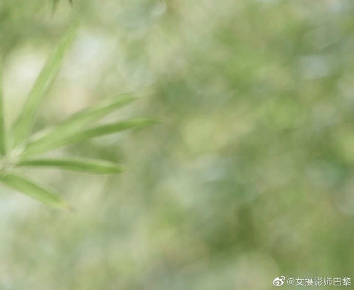 五月色情